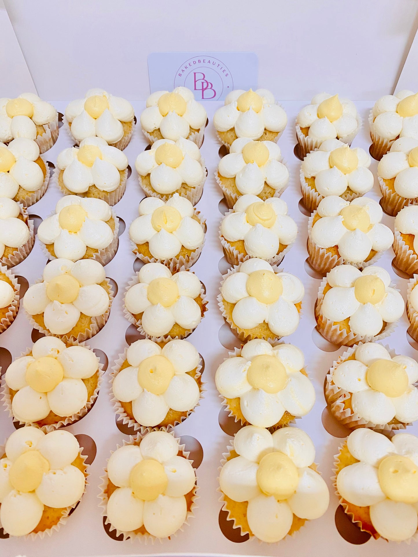 Daisy Full Size Cupcakes